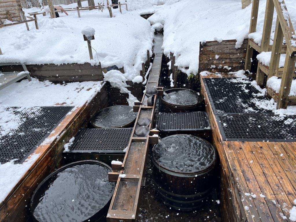 The saunaで利用できる水風呂の写真