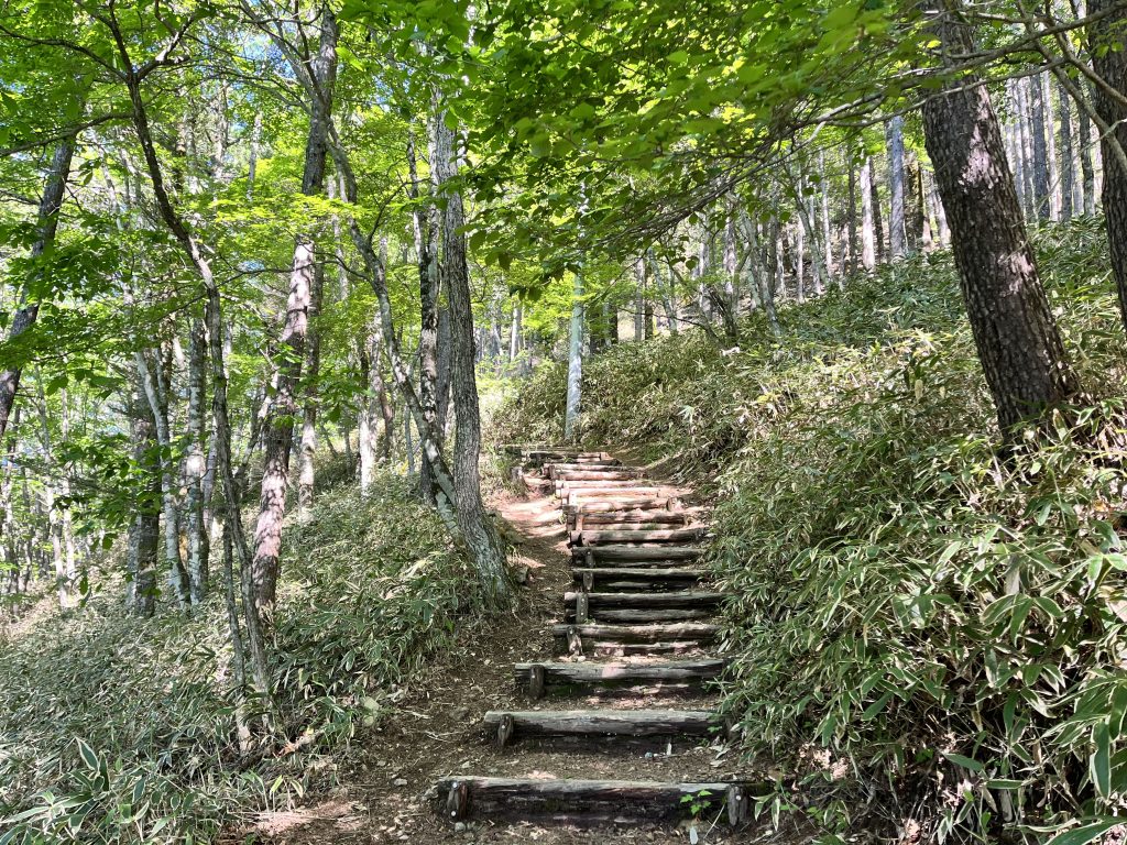 沢入駐車場からの登山道