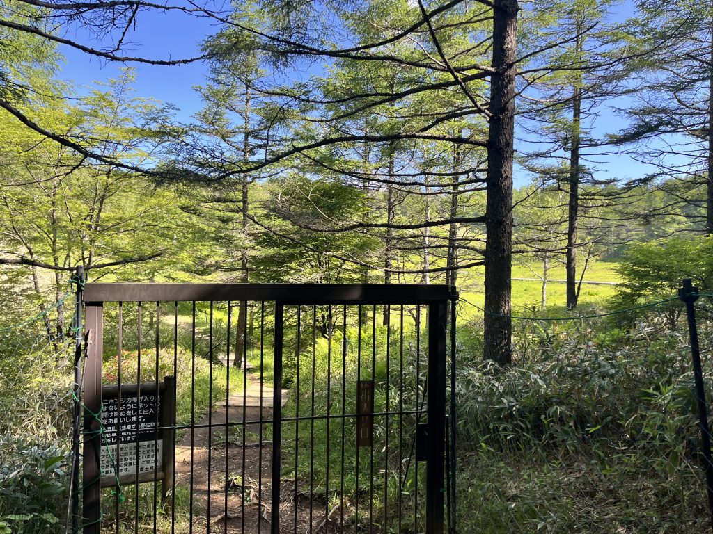 入笠山湿原前