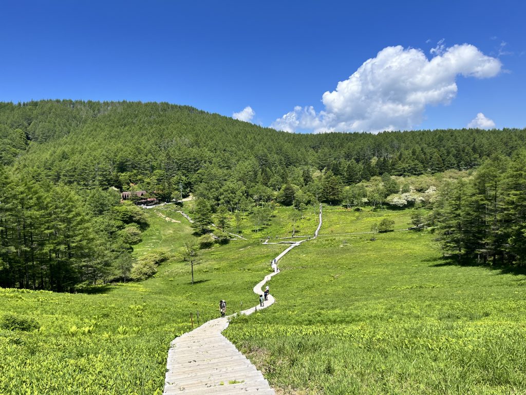 入笠湿原